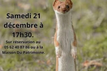 Atelier Conférence Immersion dans la photographie animalière