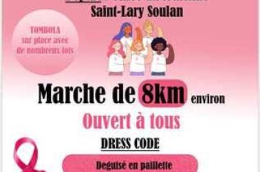 Marche en rose 2024